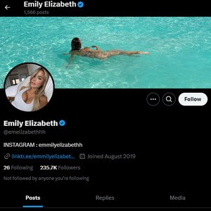 Emily Elizabeth, Twitter Porn Accounts