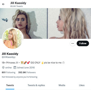 Jill Kassidy, Twitter Porn Accounts