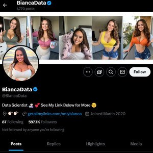 BiancaBTS, Twitter Porn Accounts