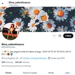 Gina Valentina, Twitter Porn Accounts