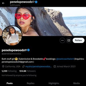 Penelope Woods, Twitter Porn Accounts