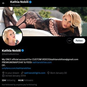 Kathia Nobili, Twitter Porn Accounts