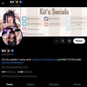 KittyxKum, Twitter Porn Accounts