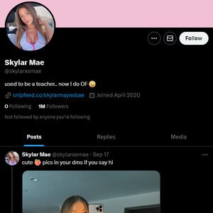 Skylar Mae, Twitter Porn Accounts