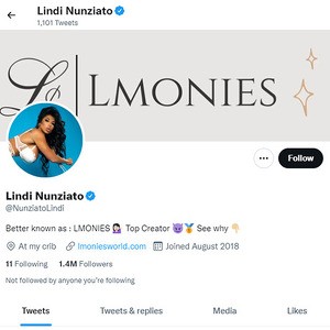 Lindi Nunziato Twitter, Twitter Porn Accounts