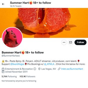 Summer Hart, Twitter Porn Accounts