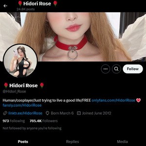 Hidori Rose, Twitter Porn Accounts