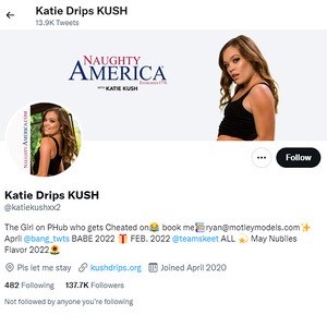 Katie Kush, Twitter Porn Accounts