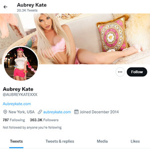 Aubrey Kate, Twitter Porn Accounts