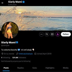 Siarly Mami, Twitter Porn Accounts