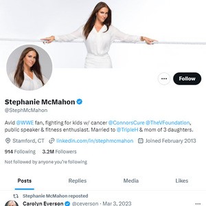 Stephanie McMahon (318.000) (done)