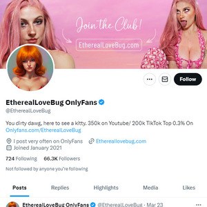 EtherealLoveBug Twitter, Twitter Porn Accounts