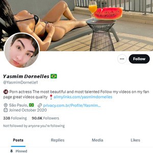 Yasmin Dornelles Twitter (TS), Twitter Porn Accounts