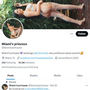 Serena Santos Twitter, Twitter Porn Accounts