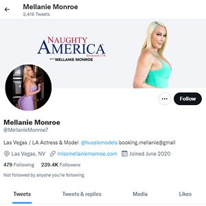 Mellanie Monroe, Twitter Porn Accounts