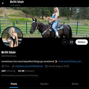 Britt Blair, Twitter Porn Accounts