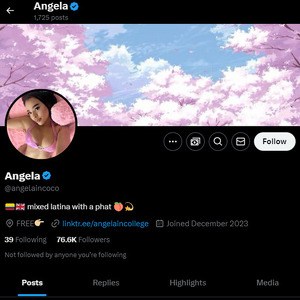 AngelaInCollege, Twitter Porn Accounts