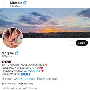 Morgpie Twitter Twitter com Twitter Porn Account 