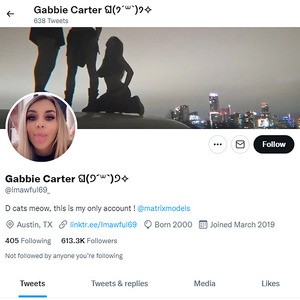 Gabbie Carter Twitter, Twitter Porn Accounts