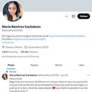 María Ramirez Carbaleon Twitter, Cuentas porno de Twitter