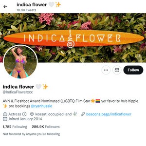 Indica Flower, Twitter Porn Accounts