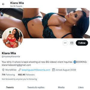 Kiara Mia, Twitter Porn Accounts