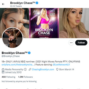 Brooklyn Chase, Twitter Porn Accounts