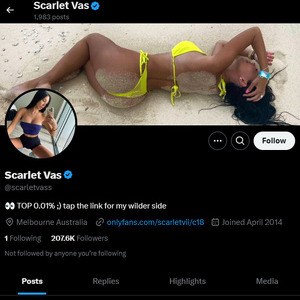 Scarlet Vas, Twitter Porn Accounts