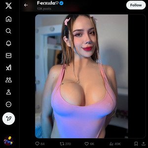 Ferxiita, Twitter Porn Accounts