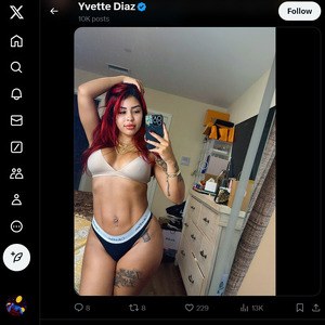 SecretyVette, Twitter Porn Accounts