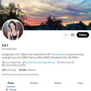 Liz Jordan Twitter, Twitter Porn Accounts