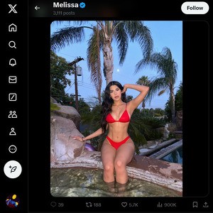 MelissagsTM, Twitter Porn Accounts