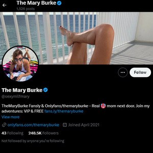 The Mary Burke, Twitter Porn Accounts