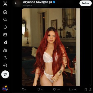 Aryanna Savegnago, Contas Porno do Twitter