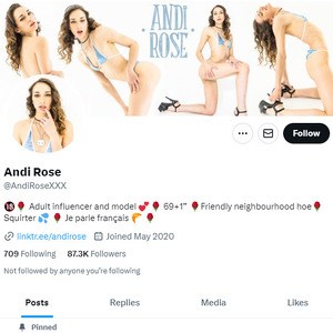 Andi Rose Twitter, Twitter Porn Accounts