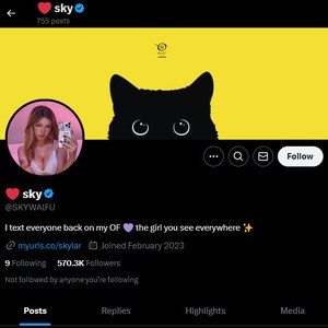 Skylar Rae, Twitter Porn Accounts