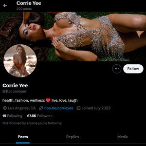 Corrie Yee, Twitter Porn Accounts