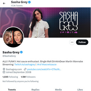 Sasha Grey Twitter, Twitter Porn Accounts