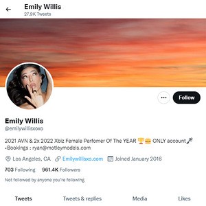 Emily Willis Twitter, Twitter Porn Accounts