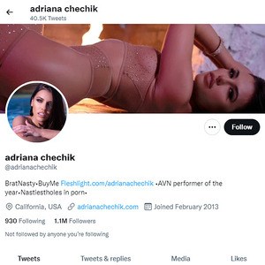 Adriana Chechik Twitter, Twitter Porn Accounts