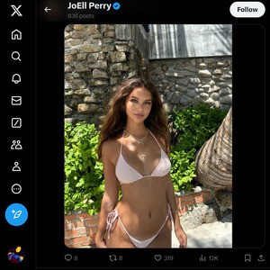 JoEll Perry, Twitter Porn Accounts