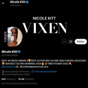 Nicole Kitt, Twitter Porn Accounts