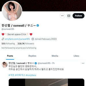 SunWall95 Twitter, 트위터 포르노 계정