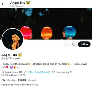 Angel Youngs, Twitter Porn Accounts