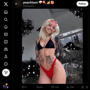 BabyFooji, Twitter Porn Accounts