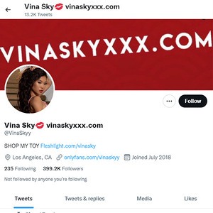 Vina Sky, Twitter Porn Accounts