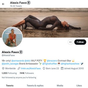 Alexis Fawx, Twitter Porn Accounts