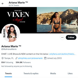 Ariana Marie, Twitter Porn Accounts