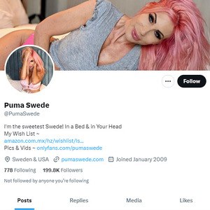 Puma Swede Twitter, Twitter Porn Accounts