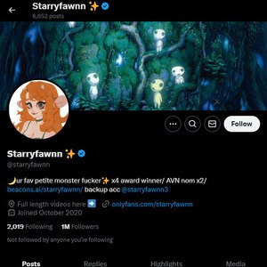 StarryFawnn, Twitter Porn Accounts